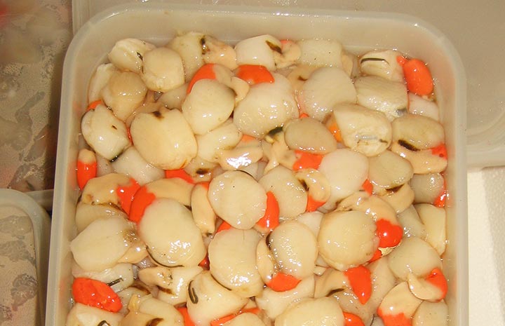 frozen-scallops.jpg